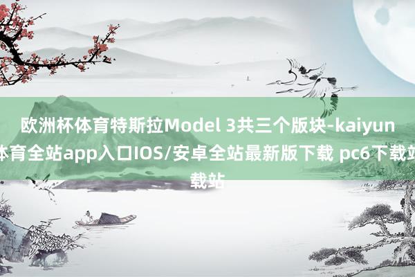 欧洲杯体育特斯拉Model 3共三个版块-kaiyun体育全站app入口IOS/安卓全站最新版下载 pc6下载站