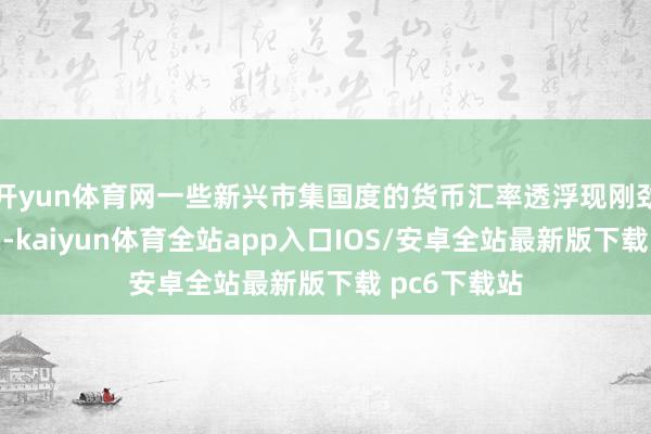 开yun体育网一些新兴市集国度的货币汇率透浮现刚劲的上升势头-kaiyun体育全站app入口IOS/安卓全站最新版下载 pc6下载站