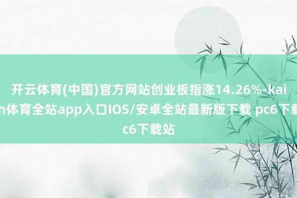 开云体育(中国)官方网站创业板指涨14.26%-kaiyun体育全站app入口IOS/安卓全站最新版下载 pc6下载站