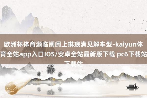 欧洲杯体育濒临阛阓上琳琅满见解车型-kaiyun体育全站app入口IOS/安卓全站最新版下载 pc6下载站