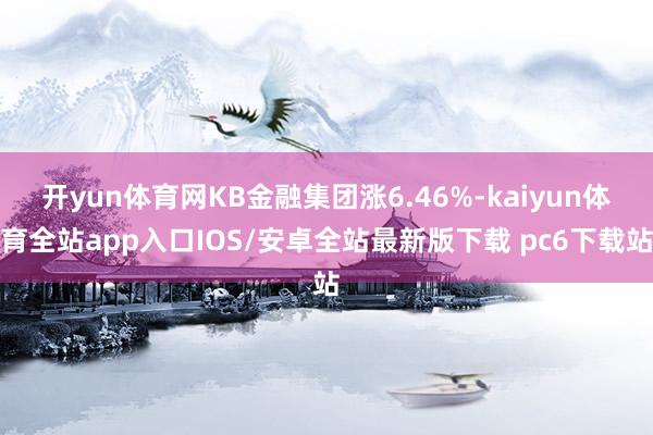 开yun体育网KB金融集团涨6.46%-kaiyun体育全站app入口IOS/安卓全站最新版下载 pc6下载站