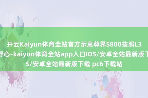 开云Kaiyun体育全站官方示意尊界S800按照L3智能驾驶架构野心-kaiyun体育全站app入口IOS/安卓全站最新版下载 pc6下载站