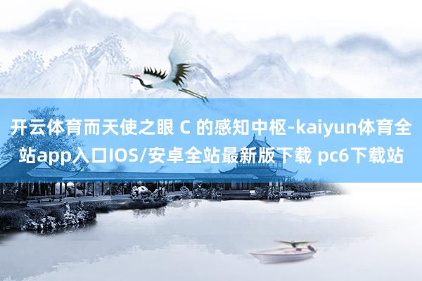 开云体育而天使之眼 C 的感知中枢-kaiyun体育全站app入口IOS/安卓全站最新版下载 pc6下载站