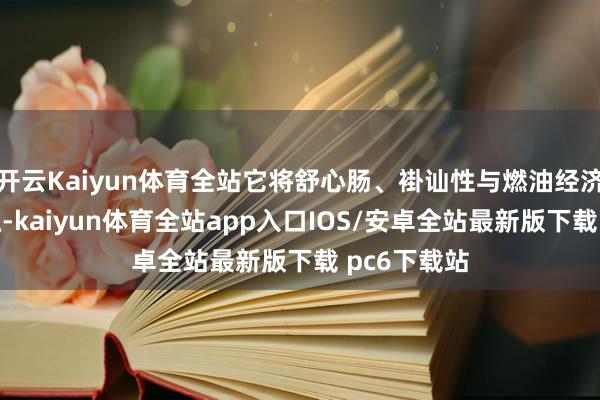 开云Kaiyun体育全站它将舒心肠、褂讪性与燃油经济性圆善交融-kaiyun体育全站app入口IOS/安卓全站最新版下载 pc6下载站